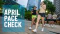 April Pace